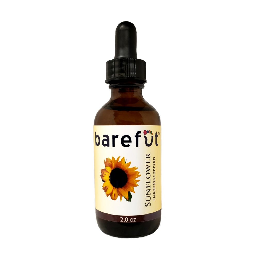 Sunflower Oil Barefut Essential Oils