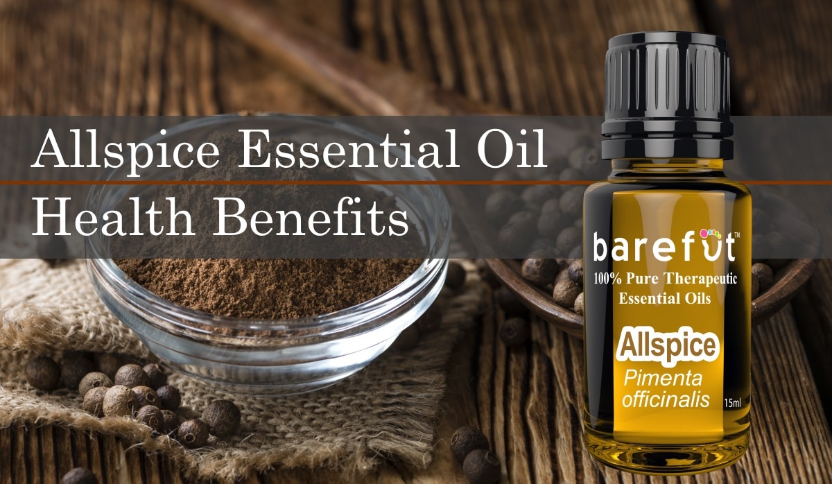 Allspice Essential Oil Health Benefits