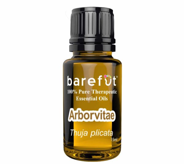 Arborvitae Essential Oil