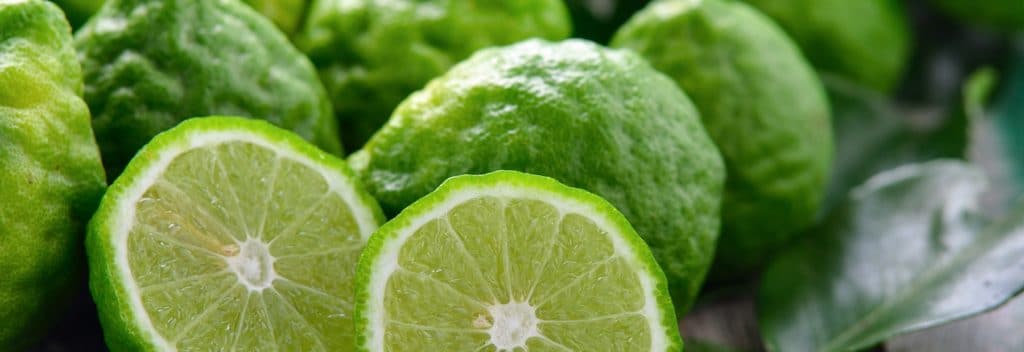 Bergamot Essential Oil Uses Benefits and Recipes