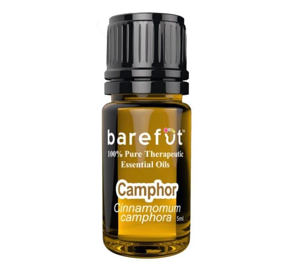 Camphor Essential Oil 5ml Barefut