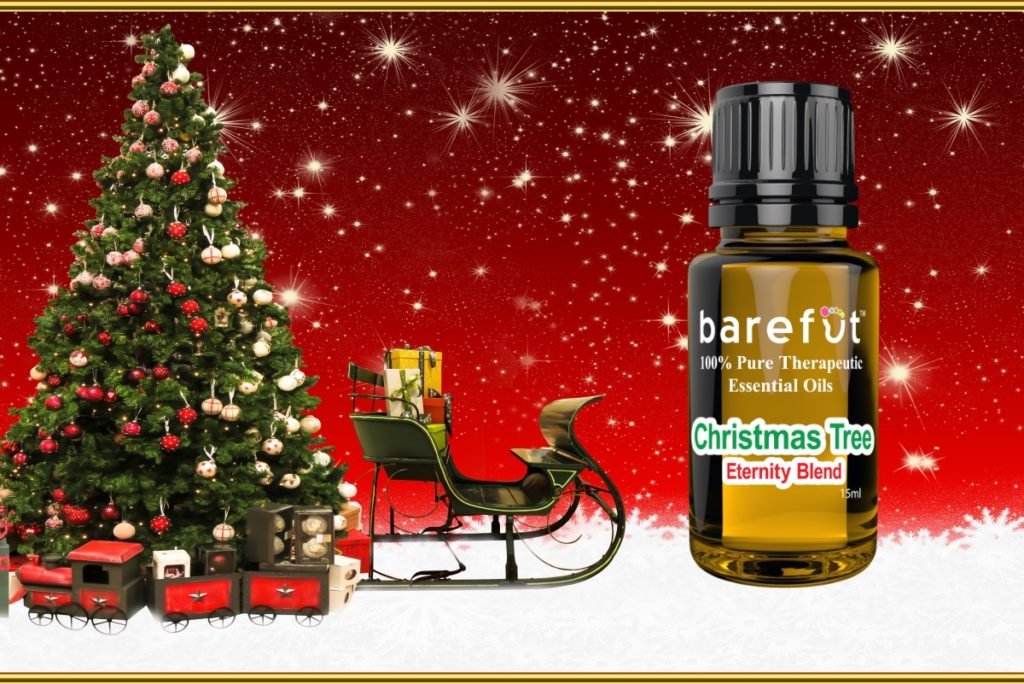 Christmas Tree Eternity Blend Barefut Essential Oils 3735