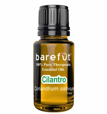 Cilantro Essential Oil Barefut