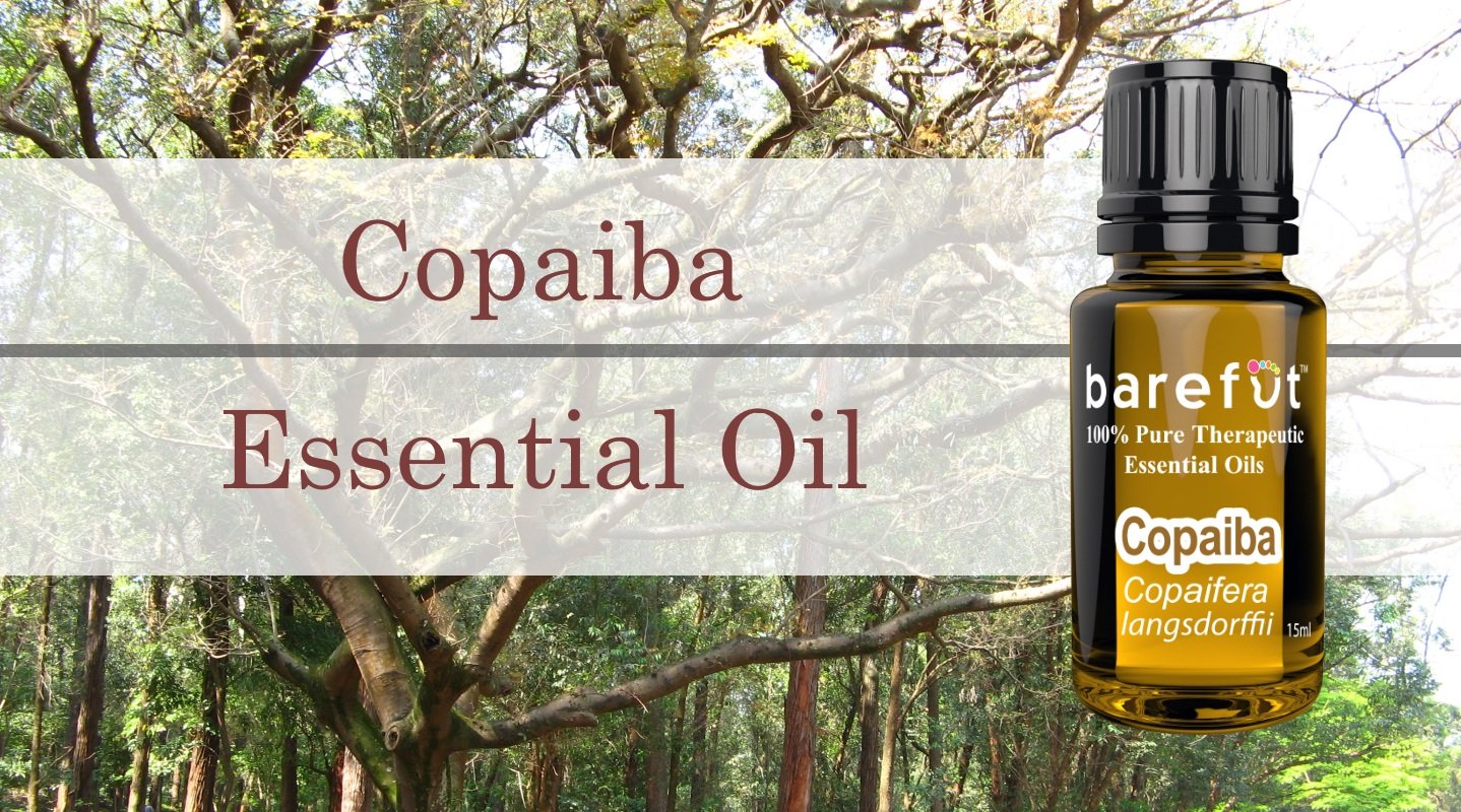 Copaiba Essential Oil Benefits