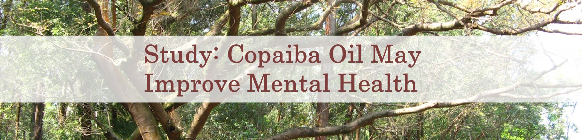 Copaiba Essential Oil study improves mental health