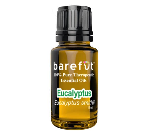 Eucalyptus Smithii Essential Oil Barefut