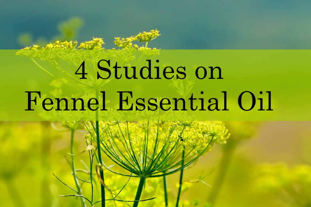 Fennel Essential Oil Studies