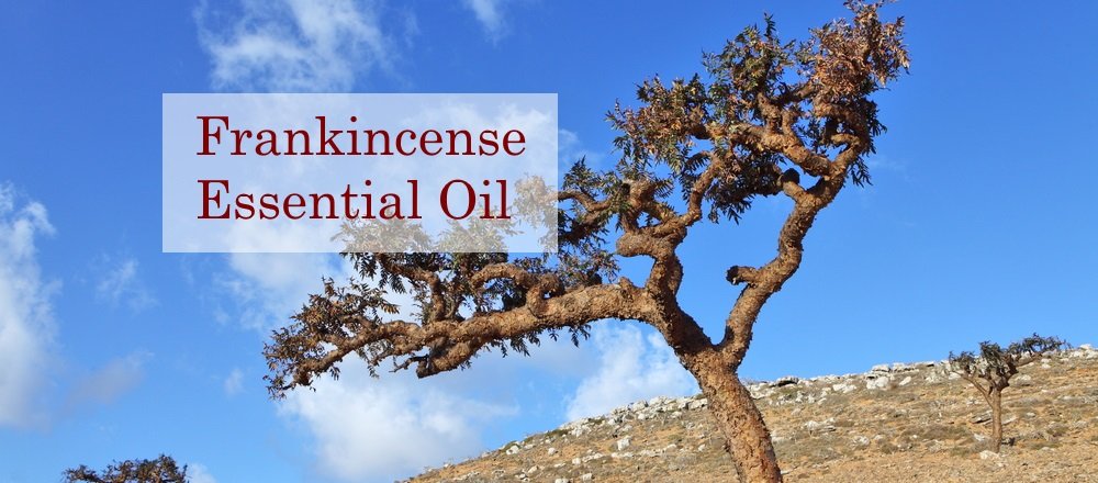 Frankincense Essential Oil Blog Post