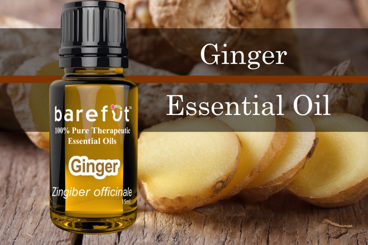 Ginger Essential Oil Benefits