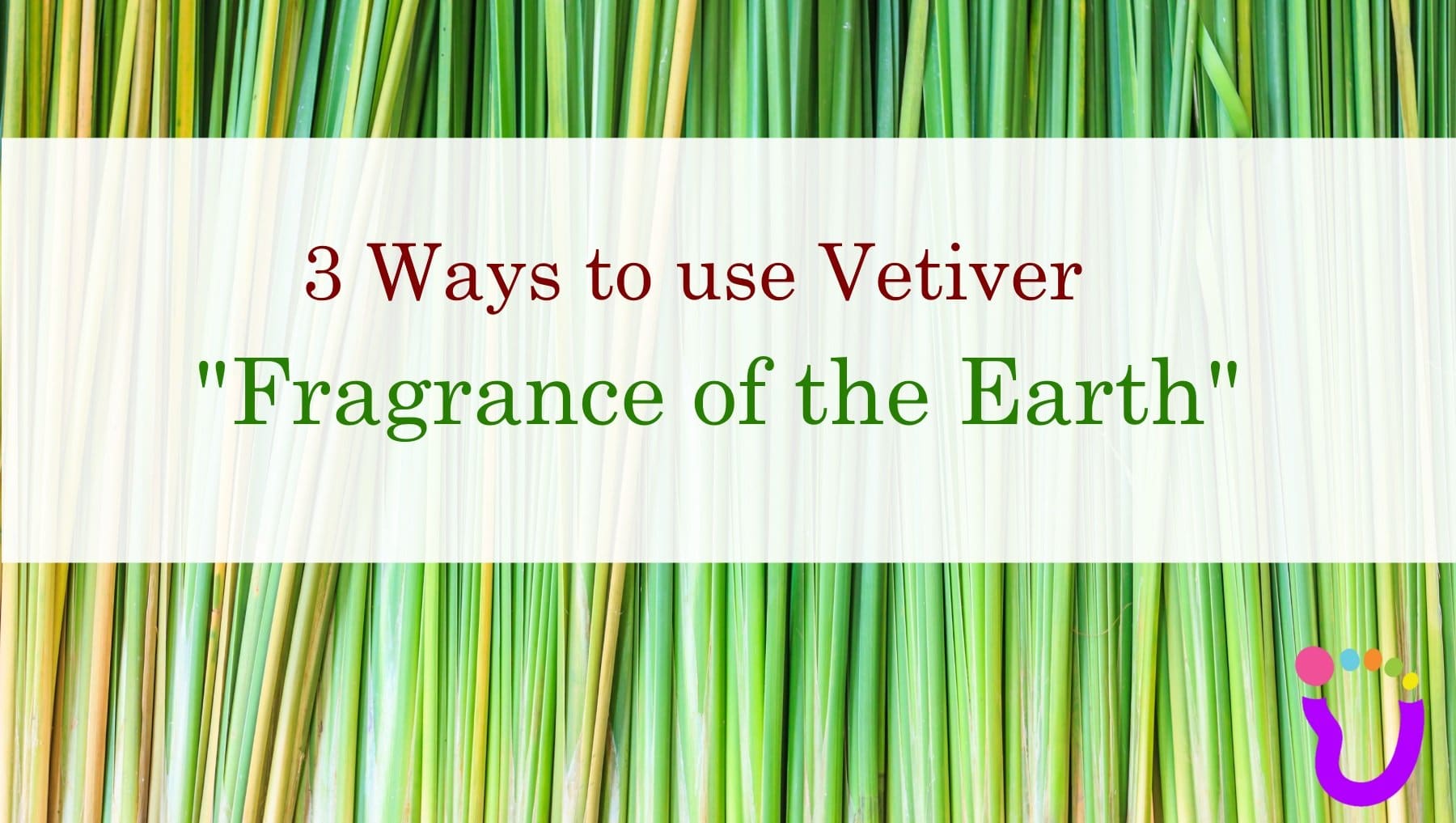 Vetiver Essential Oil Recipes and Health Benefits