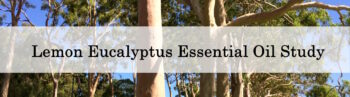 Lemon Eucalyptus Essential Oil Benefits Facebook