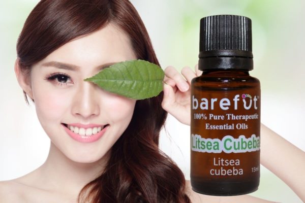 Litsea Cubeba (May Chang) Essential Oil
