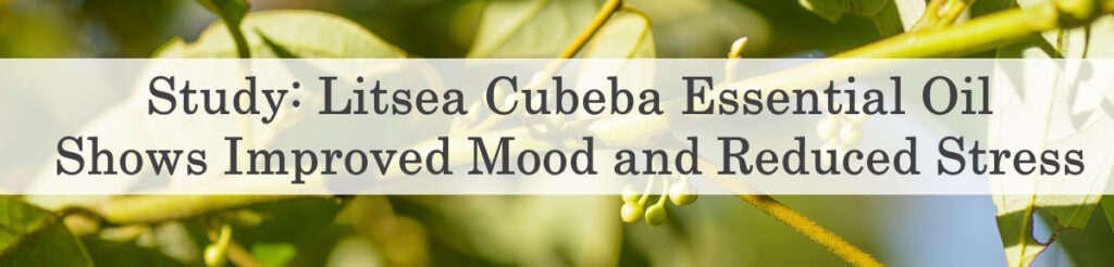 Study: Litsea Cubeba Essential Oil Shows Improved Mood and Reduced Stress
