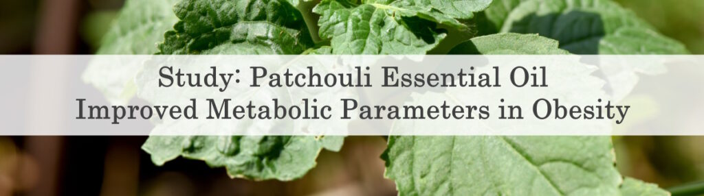 Study: Patchouli Essential Oil Improved Metabolic Parameters in Obesity