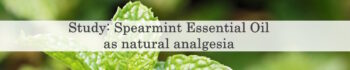 Study: Spearmint Essential Oil as natural analgesia