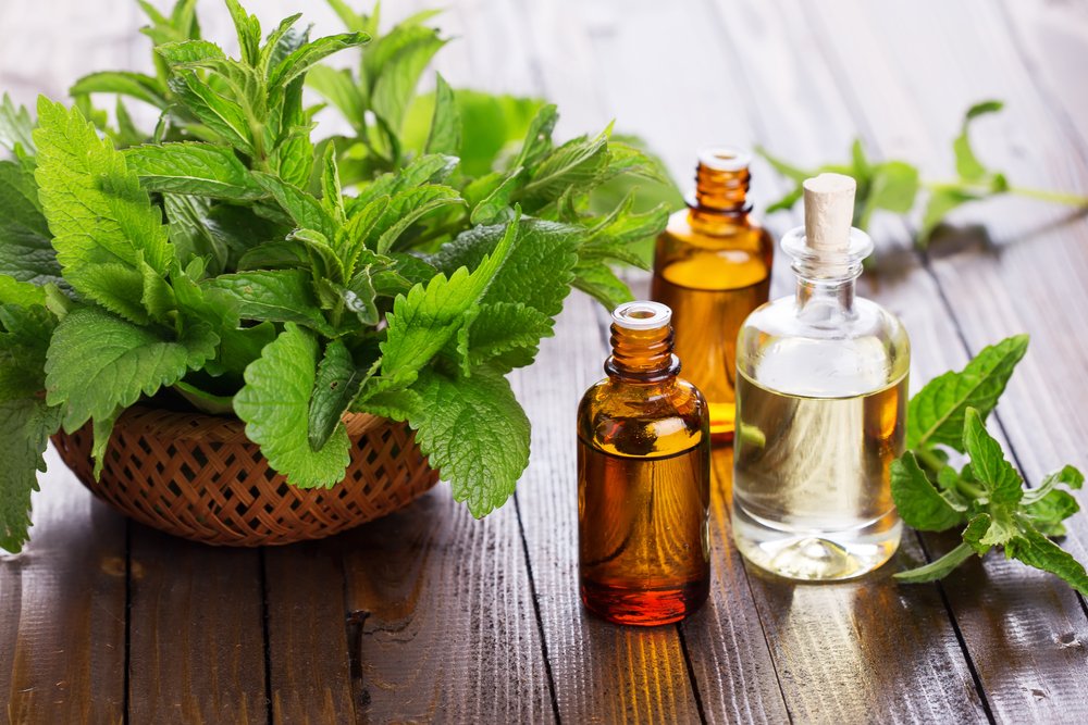 barefut Peppermint Essential Oil