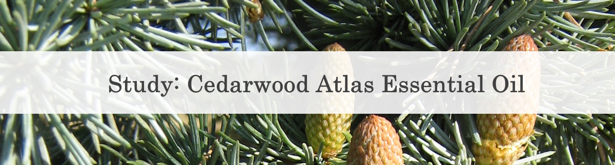 cedarwood atlas tree essential oil study