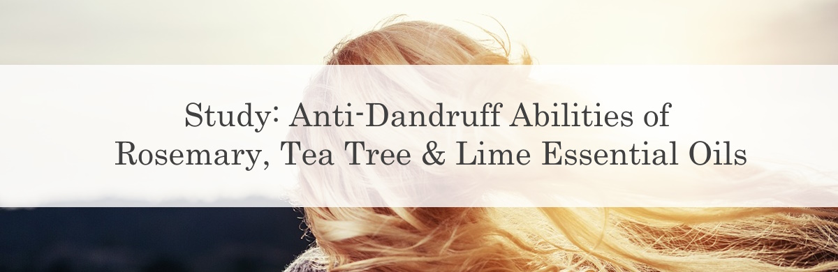 Study: Anti-Dandruff Abilities of Rosemary, Tea Tree and Lime Essential Oils