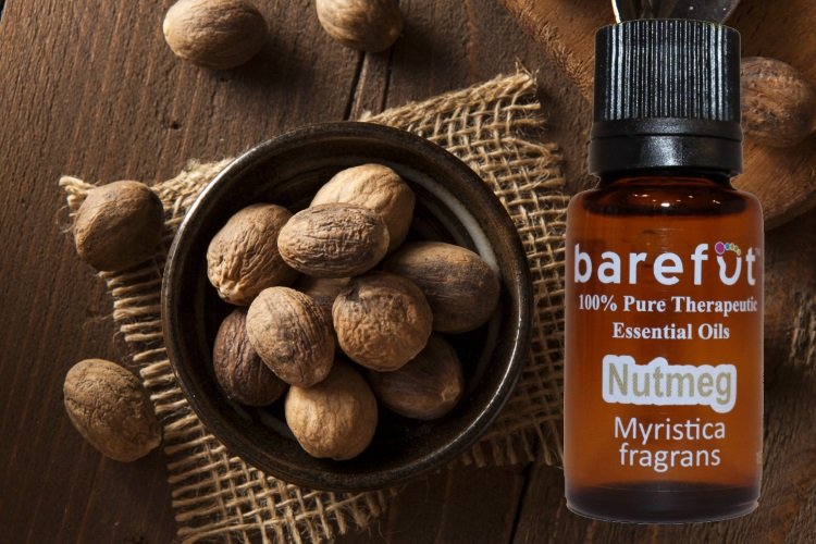 100% Pure Therapeutic Nutmeg Essential Oil - barefut
